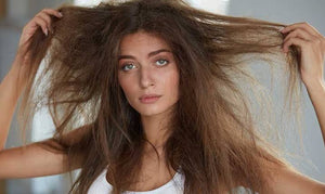 What is the best detangler hairbrush?