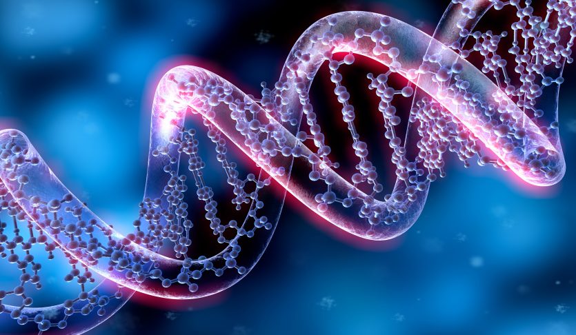 What Causes Hair Loss To Be A Genetic Disorder?