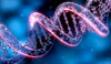 What Causes Hair Loss To Be A Genetic Disorder?