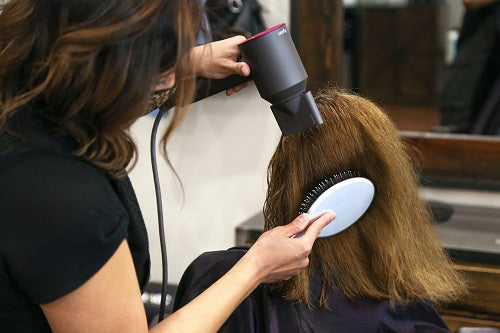 Professional Detangler Brush