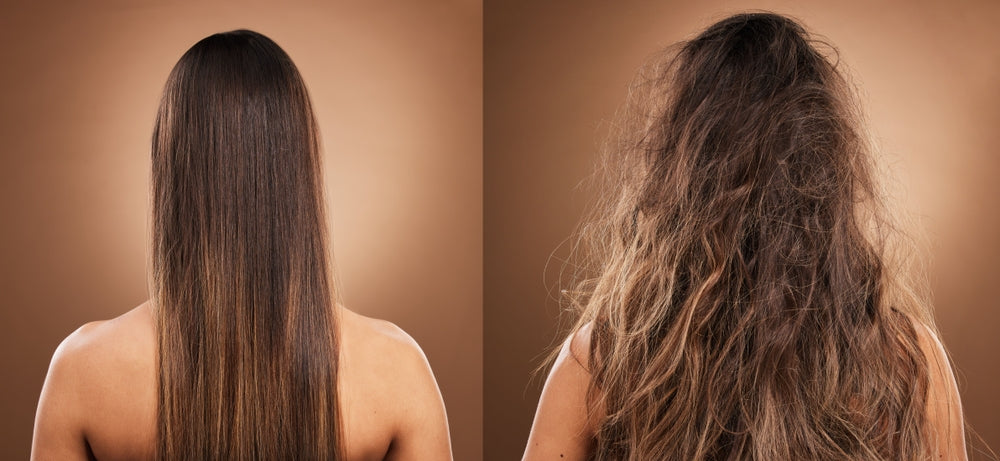 Perfect Lightweight Hair Oil: Your Ultimate Secret for Summer-Ready Locks!