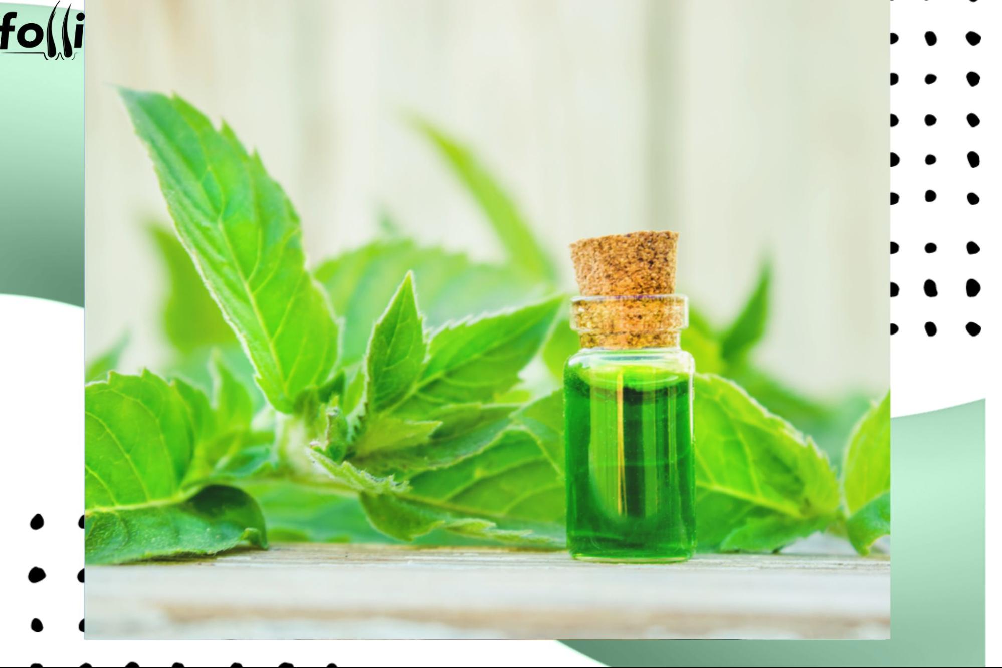Peppermint Oil for Hair: Benefits, Uses & Scalp-Friendly Tips