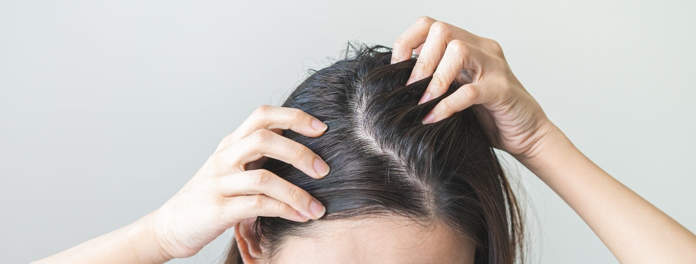 Best Damaged Hair Treatment Products: Transform Dry, Weak Strands in 2025