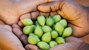 Kakadu Plum for Hair Loss: Benefits for Stronger, Healthier Hair