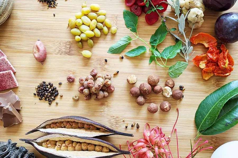 From Farm to Follicle: Exploring Australia's Native Ingredients for Haircare