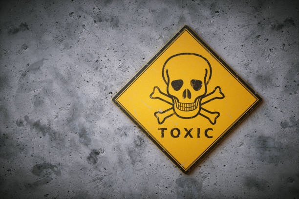 Toxic Ingredients to Avoid: Protect Your Hair Growth With Safer Choices